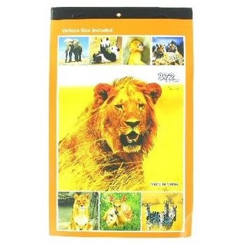 Lot Mixt Carti cu Autocolante (108 buc.)
