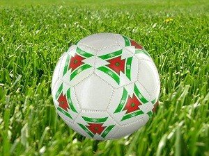 MINGE DE FOTBAL - MODEL 1 (6 buc.)