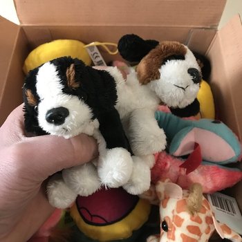 50 de Figurine de Pluș &icirc;n Cutie Cadou "Lucky Dip"
