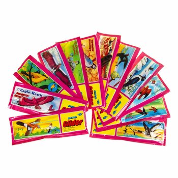 Avioane din Spumă Păsări &icirc;n Display (48 buc.)