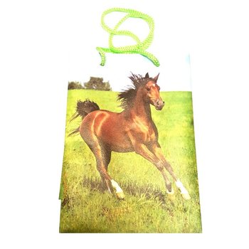 PUNGI PENTRU AMBALARE MIX ANIMALE - 12x17.5 (12 buc)