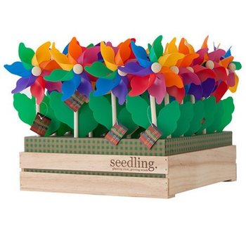 SEEDLING - MORIȘTI DE VÂNT ÎN DISPLAY (20 buc.)