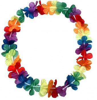 Ghirlande Hawaiene (48 buc.)