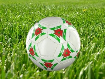 MINGE DE FOTBAL - MODEL 1 (6 buc.)