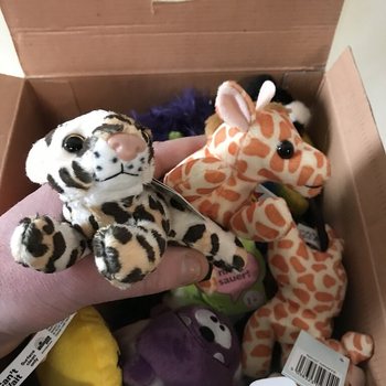 50 de Figurine de Pluș &icirc;n Cutie Cadou "Lucky Dip"