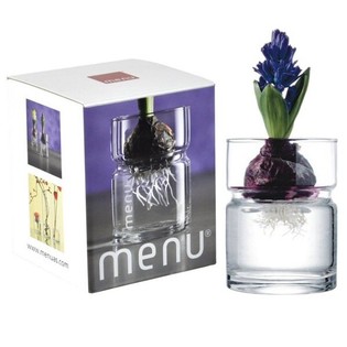 Menu Vază Cilindrică Joasă | Decorțiuni B2B