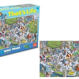 Puzzle That&rsquo;s Life - Village, 1000 piese (1 buc.)